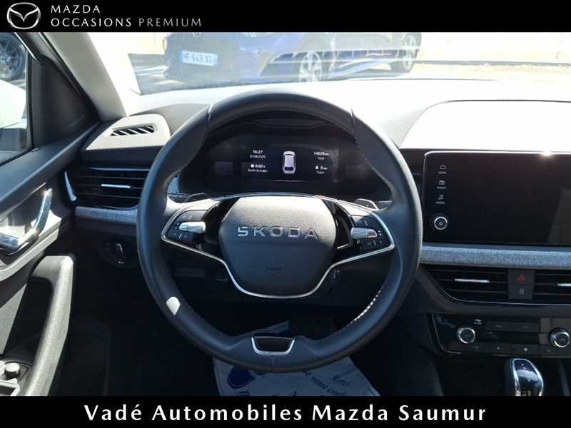 skoda - Visuel 9
